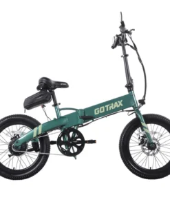 F1 Folding Electric Bike 2.0