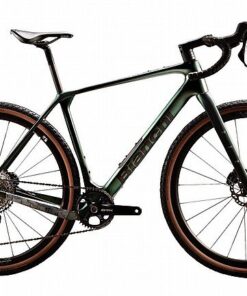 Bianchi Arcadex Pro GRX 820 1x12 Gravel Bike