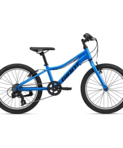 Giant XTC JR 20 Lite Kids Bike (2023)
