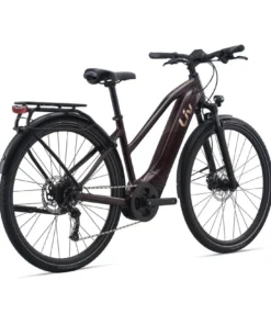 Liv Amiti E+ 2 28MPH E-Bike (2022)